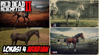 RDR 2  RDR TIPS  LOKASI 4 ARABIAN [upl. by Tiff229]