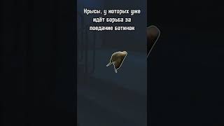 Дела подъездные stalkeronline memes stayout anomaly [upl. by Barde]