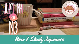 How I Study Japanese for JLPT N3 WaniKani Minna no Nihongo and More [upl. by Merril]