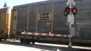 CN Freight Train Passing By Railroad Crossing Gate [upl. by Maje947]