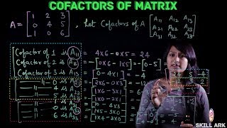 CoFactor Matrix  Calculate the Inverse of a 3×3 Matrix Using the Cofactor Approach [upl. by Reginauld]