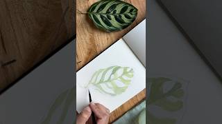 Process video of Calathea leaf painting gouachepainting gouacheart gouacheartist aesthetic [upl. by Norel261]