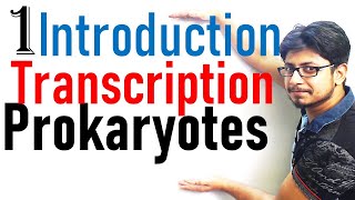 Transcription in prokaryotes introduction  Transcription lecture 1 [upl. by Neelie]