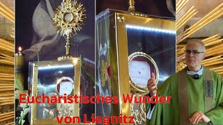 Eucharistisches Wunder von Liegnitz  Legnica Polen  Pfr Dariusz Stankiewcz [upl. by Ridinger]