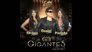 Banda Gigantes do Brasil  CD Completo 2016 [upl. by Annavas]