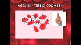 Test di Coombs [upl. by Cristy291]