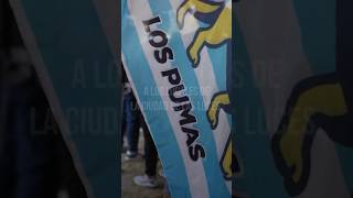 Cerveza Imperial  Los Pumas vs Francia FRAvARG [upl. by Block609]