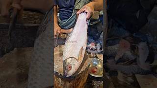 Amazing Rohu Fish Cutting Skills In Bangladesh Fish Market shorts [upl. by Ardnuyek307]