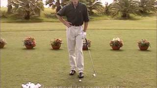 Golf  Perfección por la Práctica David leadbetter 3 de 7 spanish [upl. by Broderick]