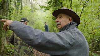 Truffle Hunting in Northern Italy [upl. by Hteboj951]