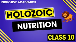 What is Holozoic Nutrition  Steps in Holozoic nutrition  What is Heterotrophic nutrition [upl. by Adnana]