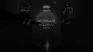 Surah Al Infitar Ayat 814 shorts [upl. by Nagah]