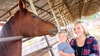 TODDLER REACTS TO HORSE [upl. by Merridie]