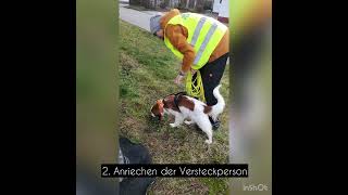 Bindung amp Vertrauen zwischen Mensch und Hund ProfiTipps [upl. by Narik]