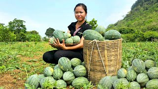 FULL VIDEO 15 days of harvesting agricultural products to sell at the market living with nature [upl. by Aileen]