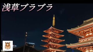 秋風吹く浅草寺を歩いてみたasakusa [upl. by Tripp]