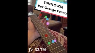 Sunflower  Rex Orange County Guitar Lesson  Tutorial [upl. by Anirat]