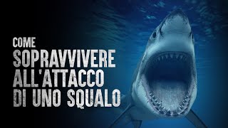 Come Sopravvivere allAttacco di uno Squalo [upl. by Rains834]