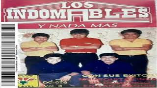 Los Indomables Cumbias Puro Exitos Mix [upl. by Nylrehs]