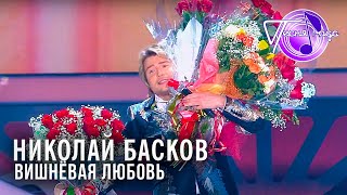 Николай Басков  Вишнёвая любовь  Песня года 2014 [upl. by Einnahc]