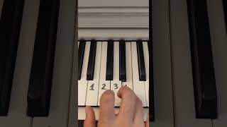 Fake Piano Skills 🎶  Easy Piano Tutorial  shorts piano pianotutorial [upl. by Caassi]