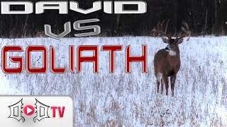 DAVID VS GOLIATH Largest Wild Buck EVER Caught On Camera [upl. by Isabelita312]