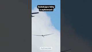 Zaskakujące fakty o szybowcach🤯 [upl. by Nauqahs16]