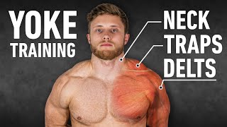 YOKED The Ultimate Trap Neck and Delt Workout ScienceBased [upl. by Airotkiv980]