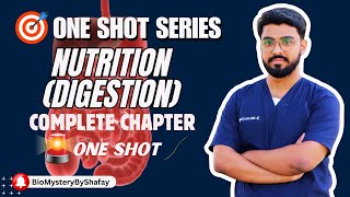 HOLOZOIC NUTRITION I DIGESTION I ONE SHOT LECTURE I COMPLETE CHAPTER BY DR MUHAMMAD SHAFAY [upl. by Thad]