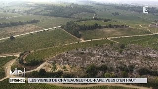 VUE DEN HAUT  Les vignes de ChâteauneufduPape [upl. by Eiddam]