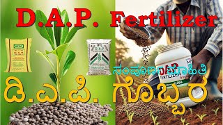 DAP Fertilizer  18460 Fertilizer  ಡಿ ಎ ಪಿ ಗೊಬ್ಬರದ ಬಗ್ಗೆ ಸಂಪೂರ್ಣ ಮಾಹಿತಿ fertilizer farming [upl. by Asle]