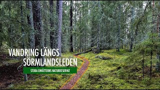 Vandring på Sörmlandsleden  Stora Envätterns Naturreservat [upl. by Saideman799]