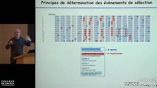 Immunité anti infectieuse  cas clinique  infection MNI [upl. by Jacinta862]