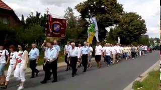 Schützenfestumzug Wehnsen 2016 [upl. by Dlanor]