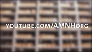 AMNH Channel Trailer [upl. by Anaiuq]