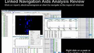 GeneMarker® Genotyping Software  Introductory Webinar [upl. by Oberheim266]