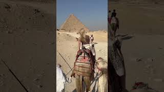 Piramids😍 music cover втоп top travel family piramids piramida egypt girl [upl. by Lena]