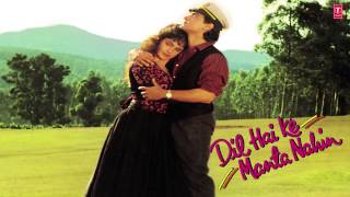 Dil Dil Lyric Video  Ishq Hai TumseBipasha BasuDinoUdit NarayanAlka YagnikHimesh R [upl. by Anisamoht]