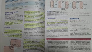 Genetics  MICROBIOLOGY [upl. by Groot]