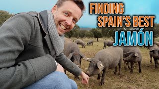 Where Does Spains Best Jamón Come From [upl. by Valley]