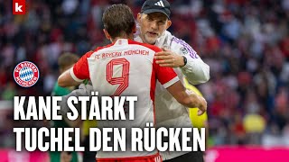 Kane Wollen Tuchels Zeit bei Bayern mit dem Höhepunkt beenden  Champions League [upl. by Orman796]