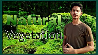 Natural Vegetation In hindi [upl. by Reaht]