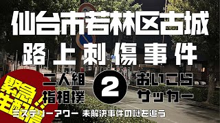 仙台市若林区古城路上刺傷事件 時効直前特集 考察編 【ミステリーアワー】未解決事件の謎を追う [upl. by Ytram]