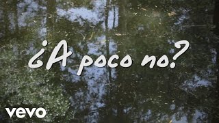 José Madero  ¿A Poco No Lyric Video [upl. by Niowtna239]