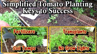 Tomato Planting Simplified Amendments Fertilizers Staking Soil Temps Planting Hole amp More [upl. by Minda122]