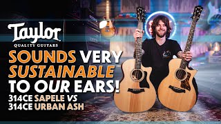 Urban Ash vs Sapele  Taylor Acoustics Sustainable Woods vs Classics [upl. by Noira172]