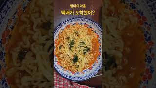 엄마 마음 전라도김치전라도파김치전라도사투리도시생활koreanfood 도시로간X [upl. by Ylnevaeh615]