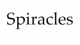 How to Pronounce Spiracles [upl. by Therine]