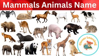 Mammals Animals Name [upl. by Lock839]