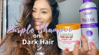 Using purple shampoo on dark hair  hair care routine [upl. by Sopher870]